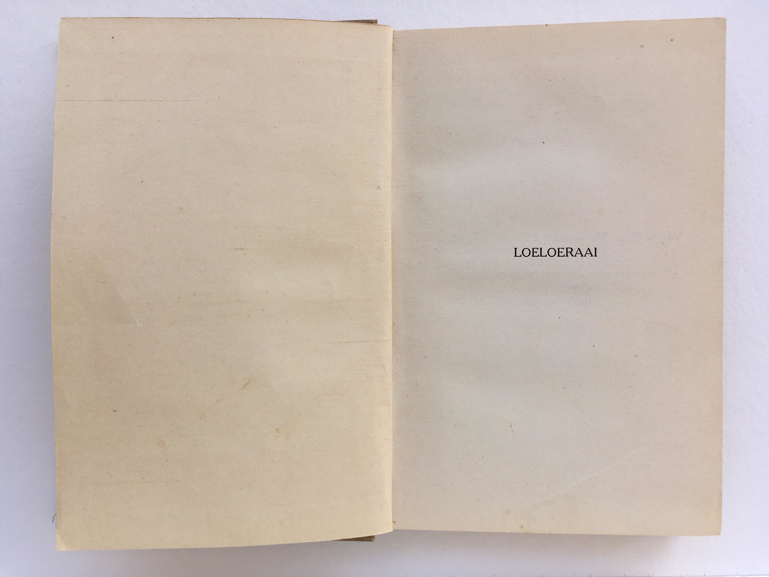 LOELOERAAI_title.jpg