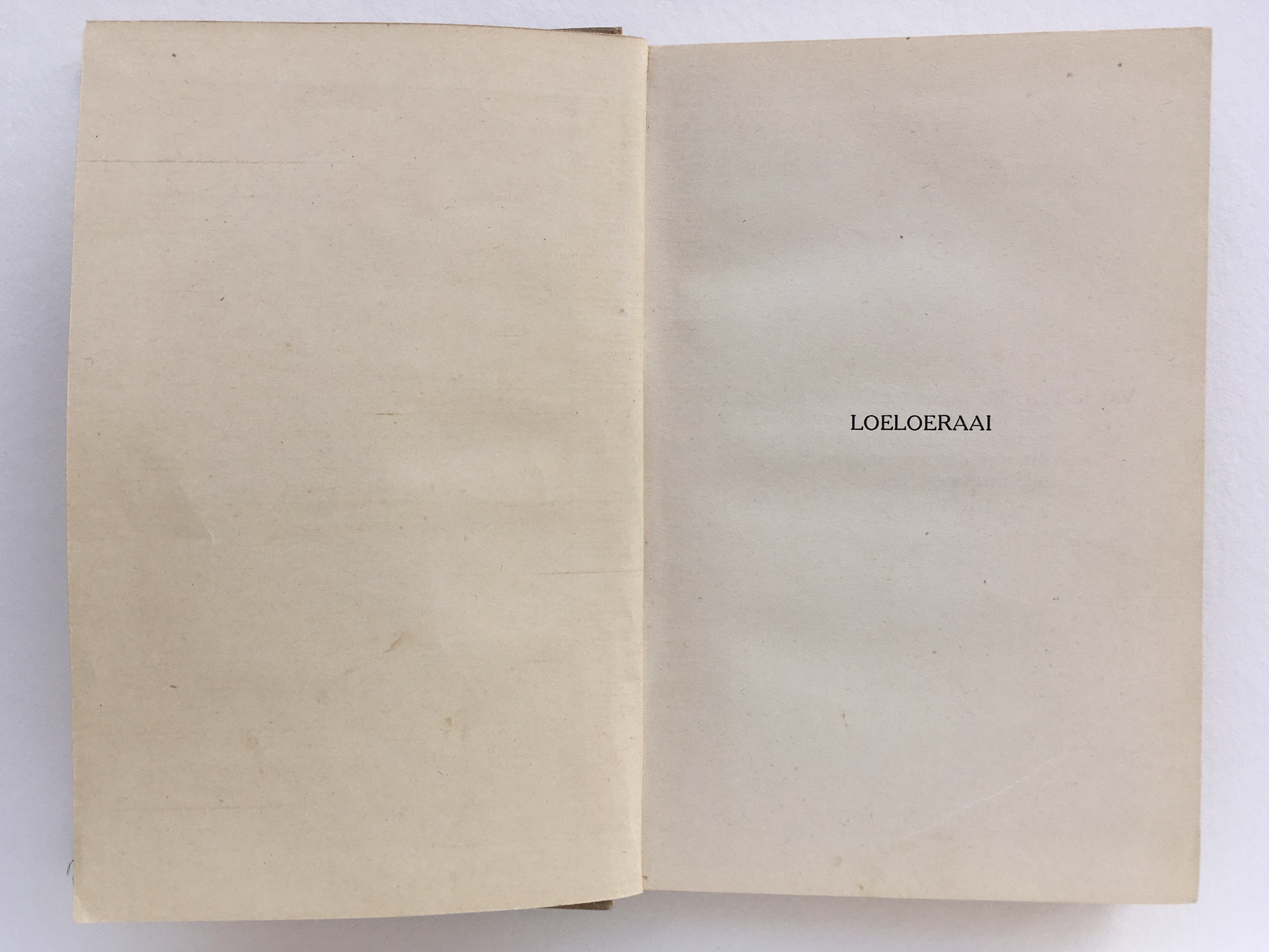 LOELOERAAI_title.jpg