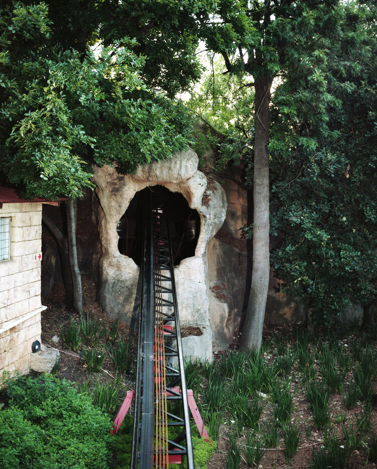 In 2011 the deepest land living creature was discovered inside a South African gold mine. A new species of nematode worm Halicephalobus mephisto was found 3.5km below the surface. They thrive in conditions thought to be too harsh for any creature - …