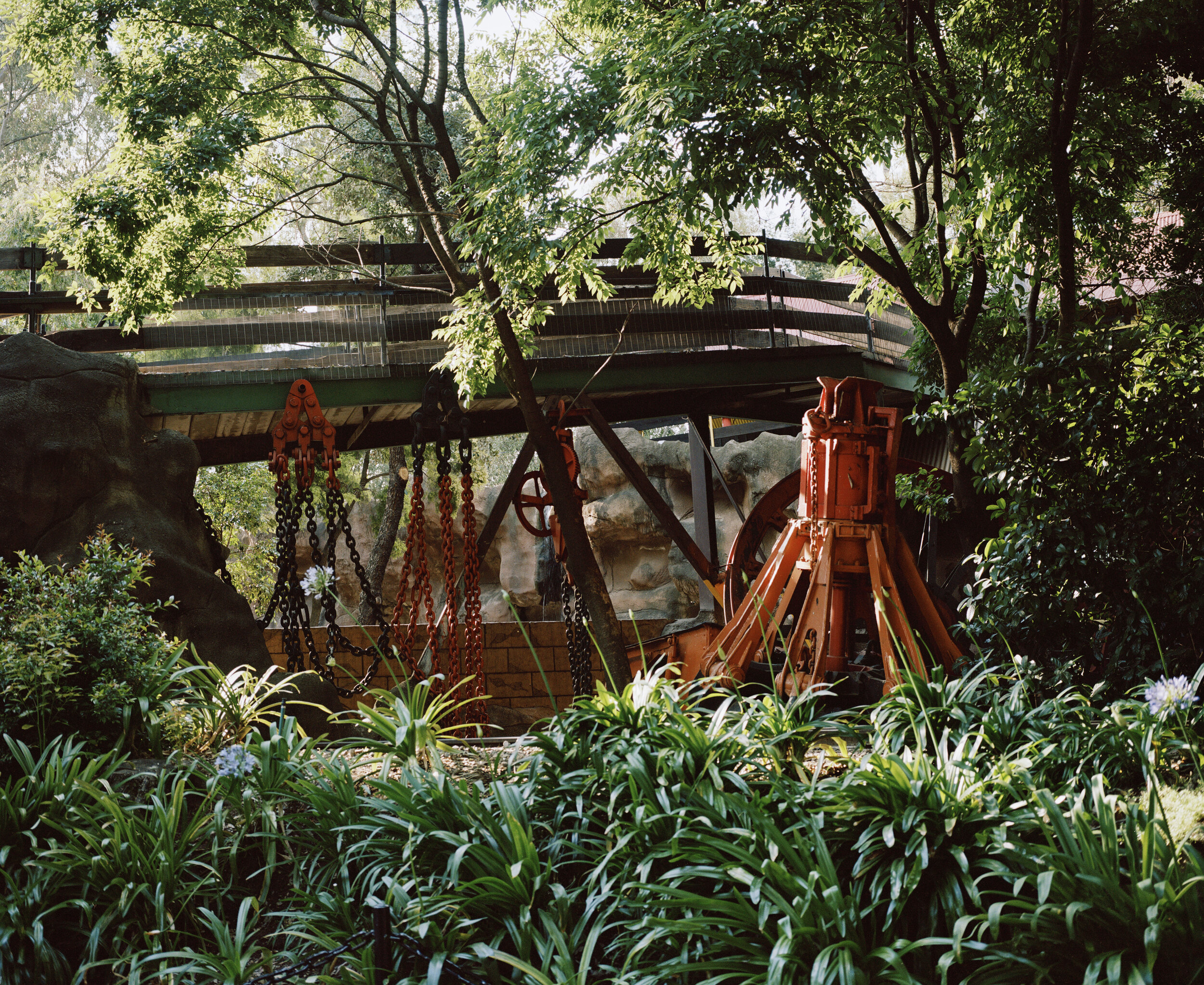 In 2011 the deepest land living creature was discovered inside a South African gold mine. A new species of nematode worm Halicephalobus mephisto was found 3.5km below the surface. They thrive in conditions thought to be too harsh for any creature - …
