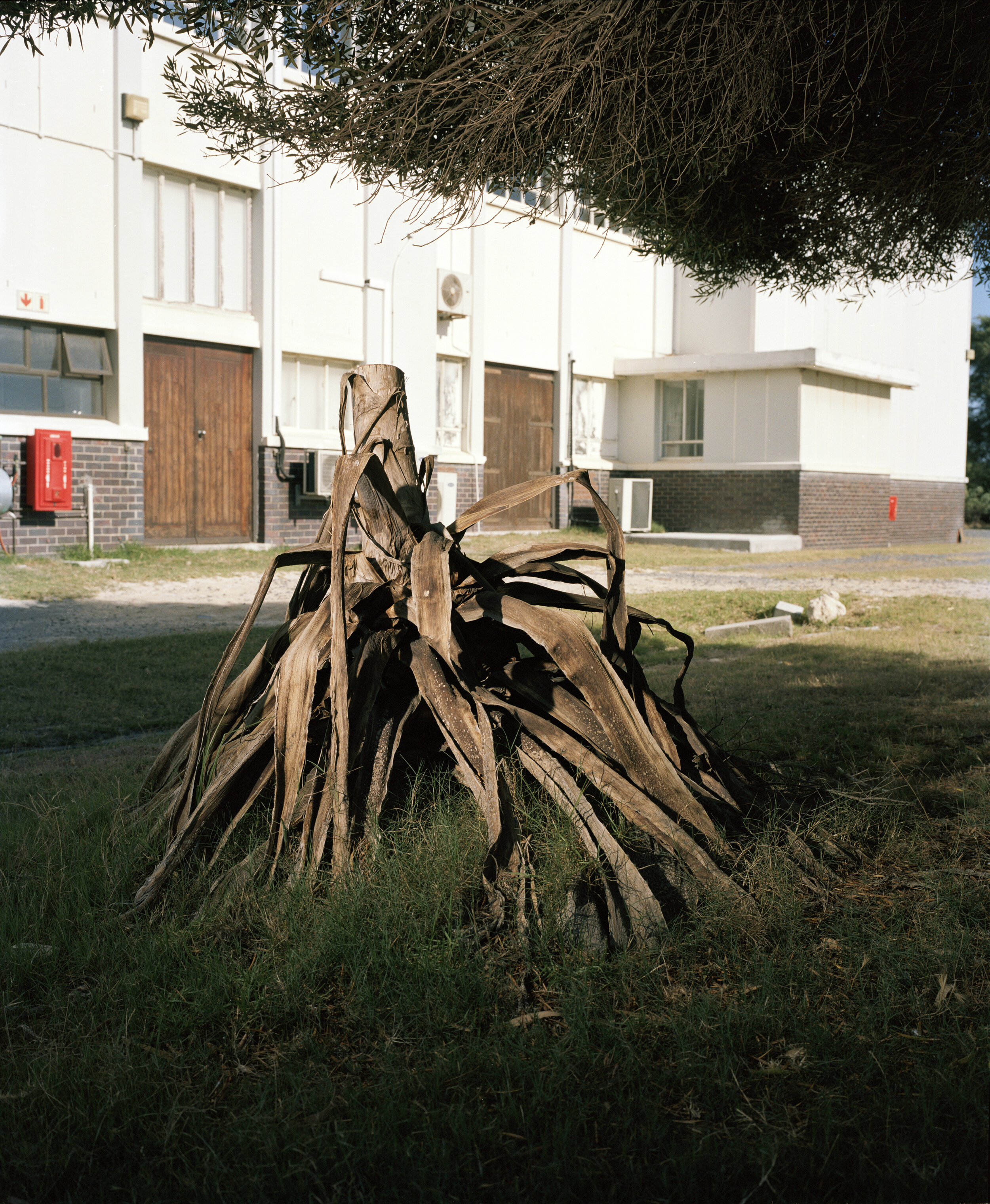 On background the Material Research Department (MRD).'The main goal is to understand how elements are created in the universe - everything is started after the big bang and from the big bang to the time where we have now the earth with the humans, w…