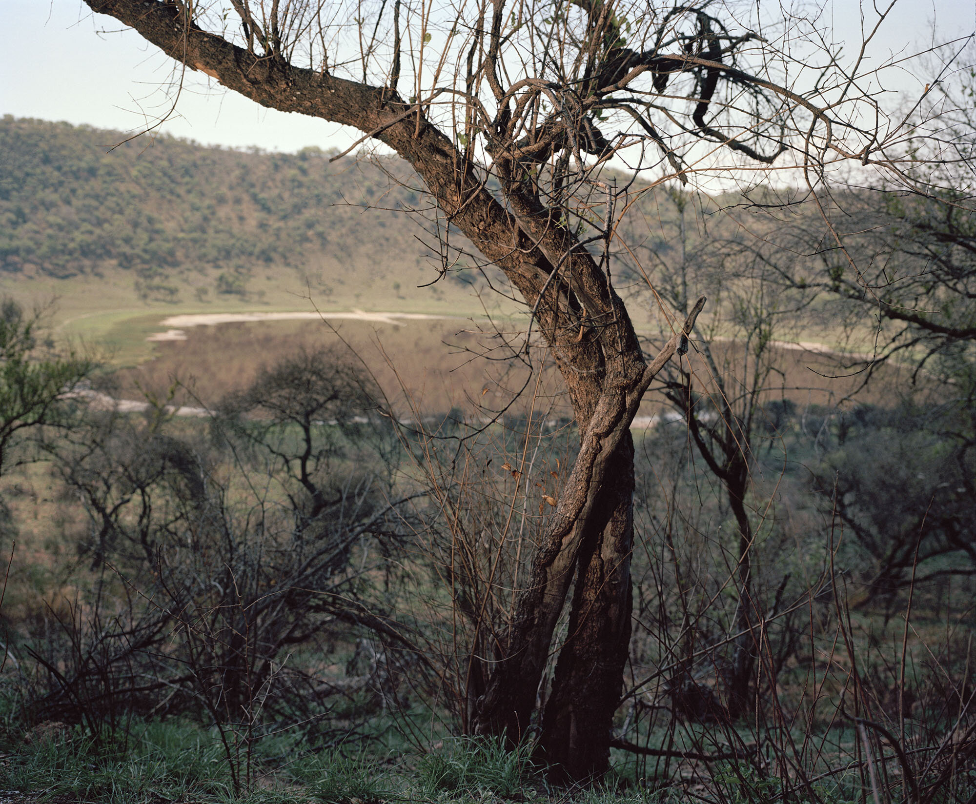 TSWAING CRATER, SOSHANGUVE, PRETORIA_5064-07 copy.jpg