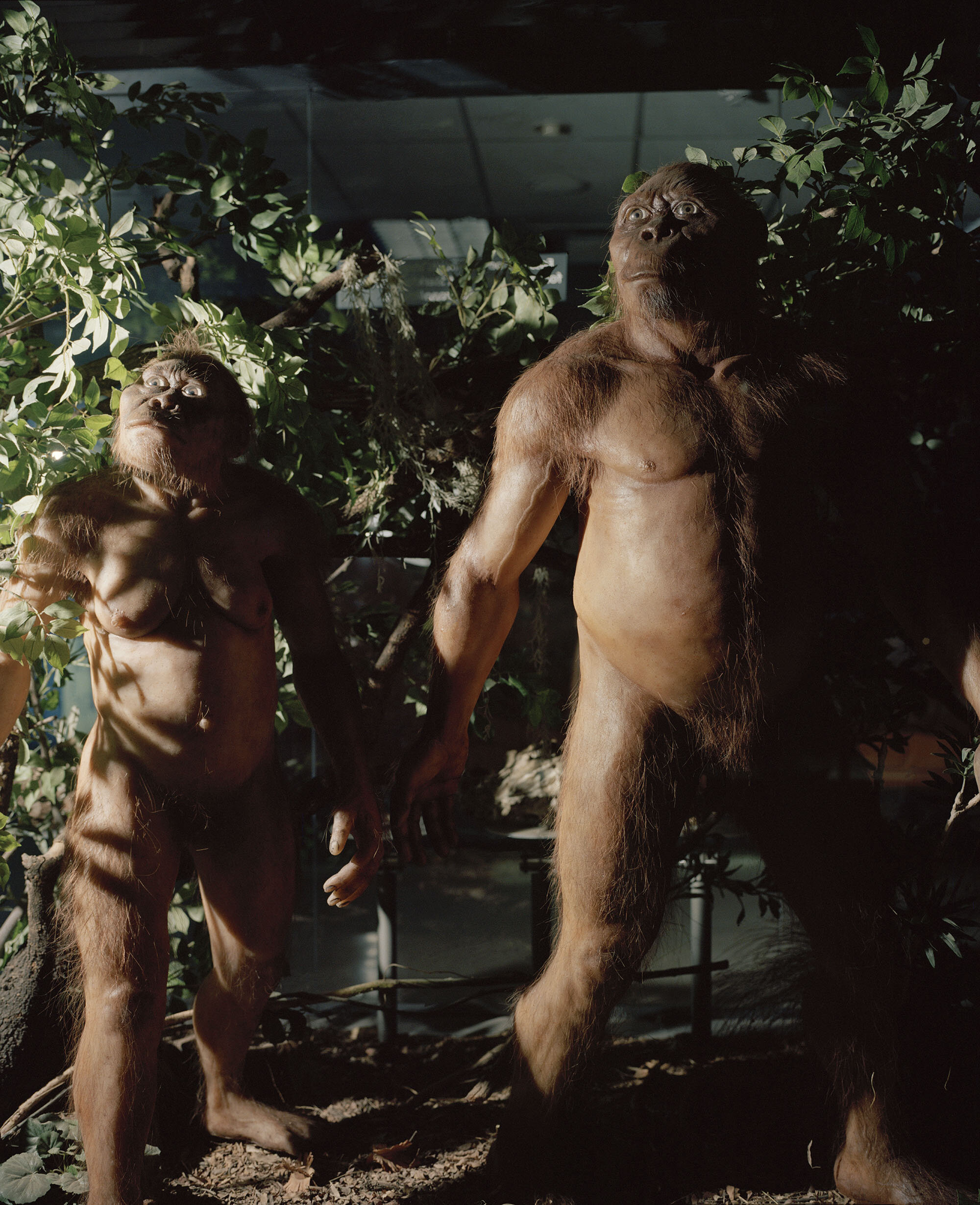 THE CRADLE OF HUMANKIND MUSEUM, JOHANNESBURG, GAUTENG_0752-01 copy.jpg