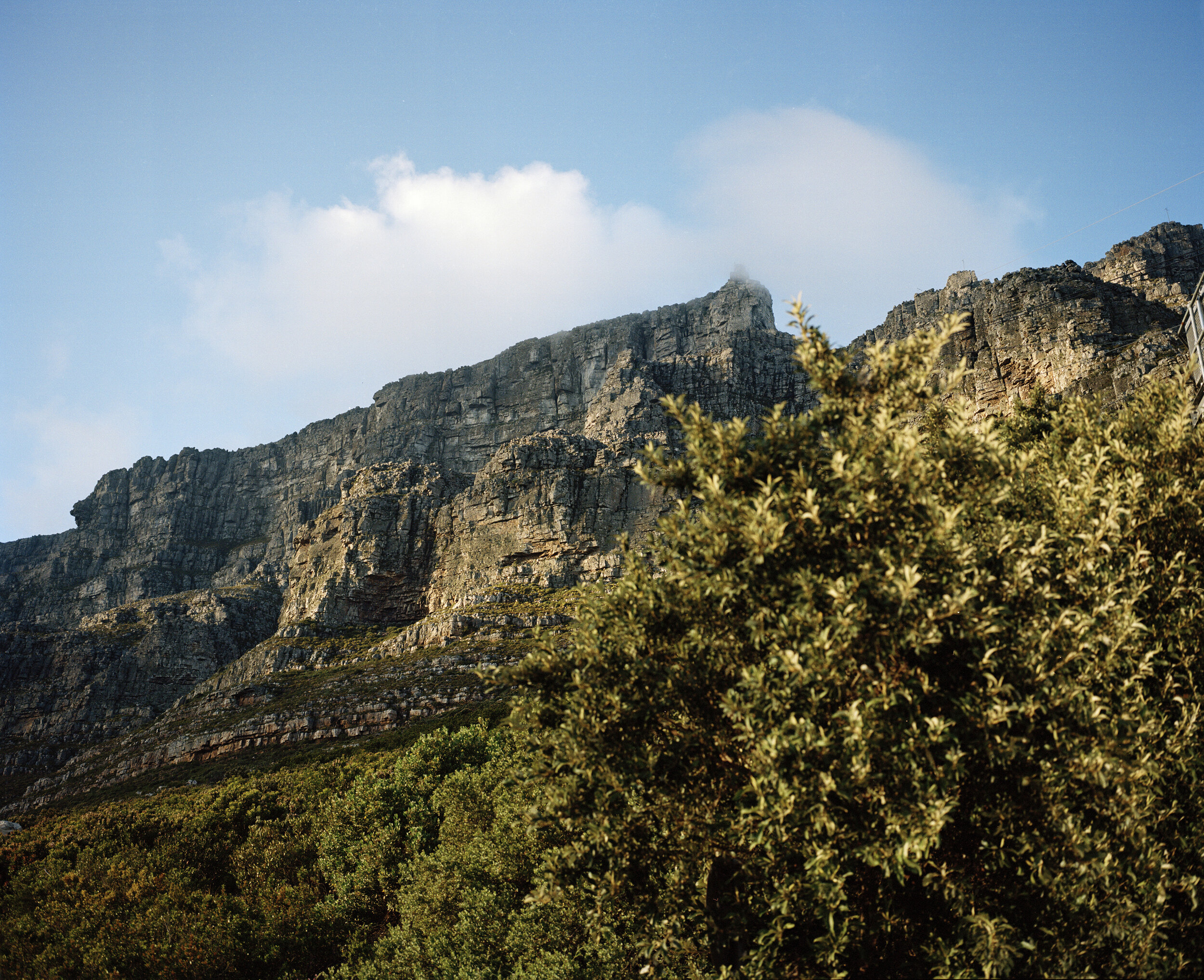 DETAIL #2, TABLE MOUNTAIN, WESTERN CAPE_QQ00-03.jpg