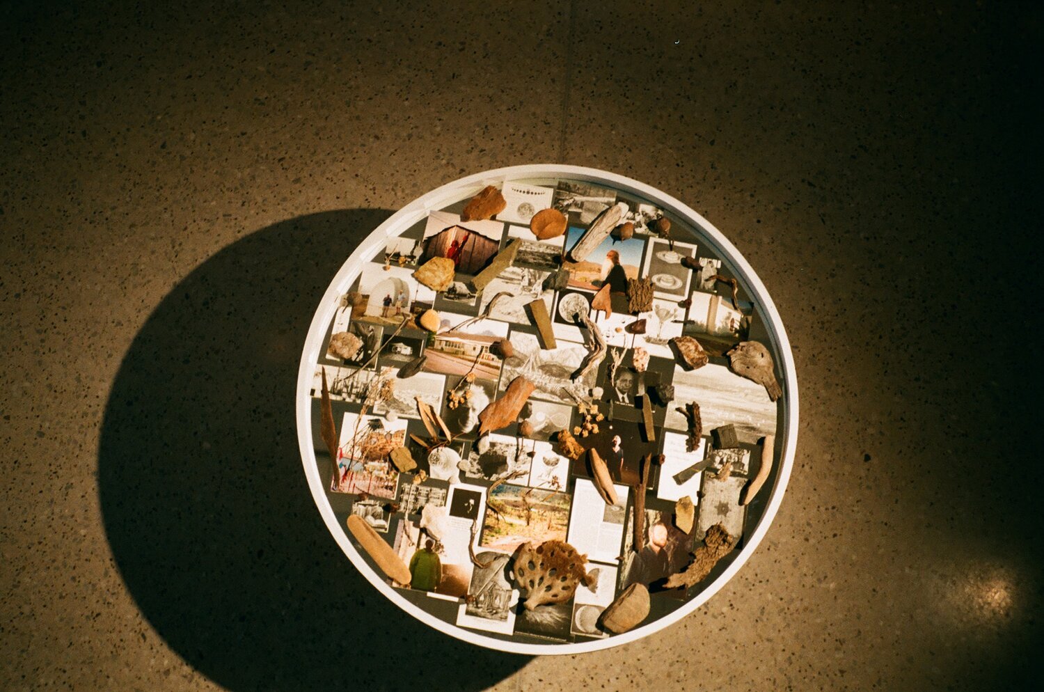 THE ATTEMPT # 2, 2020 INSTALLATION OF COPIES, PHOTOGRAPHS, NATURAL ELEMENTS